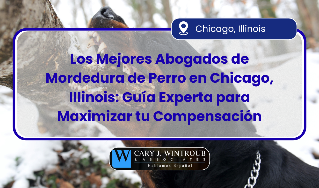 abogados de mordedura de perro en Chicago, Illinois